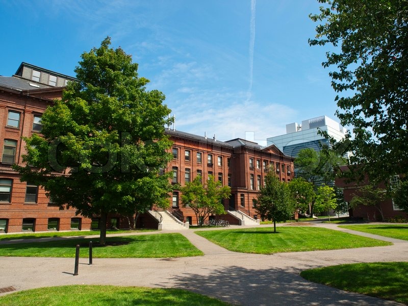 8465954-harvard-campus-in-cambridge-massachusetts