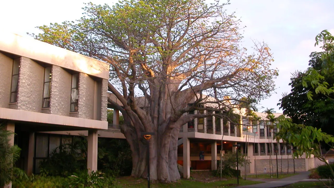 Danh sách các trường đại học và cao đẳng ở tiểu bang Hawaii